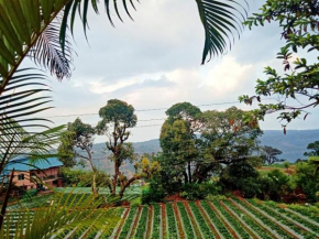 Kadam Farm Stay